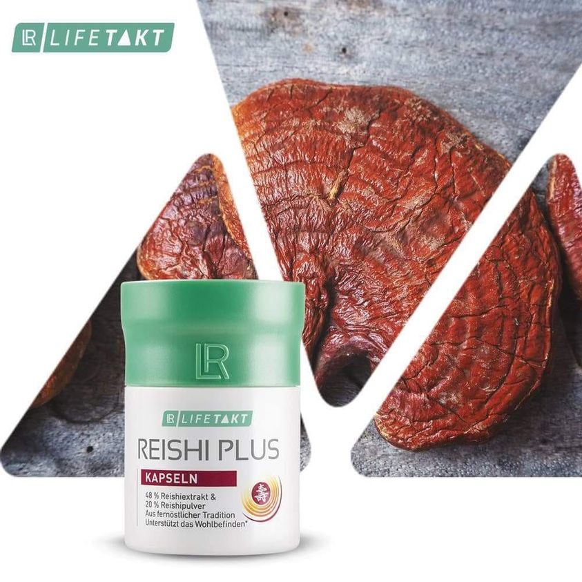 Reishi Plus étrendkiegészítő